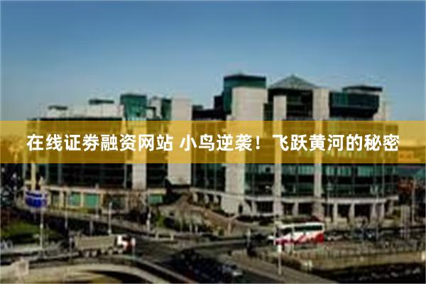 在线证劵融资网站 小鸟逆袭!飞跃黄河的秘密