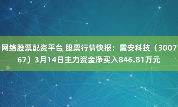 网络股票配资平台 股票行情快报:震安科技(300767)3月14日主力资金净买入846.81万元