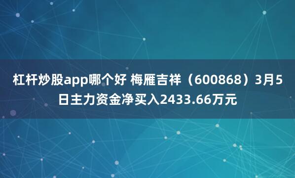 杠杆炒股app哪个好 梅雁吉祥(600868)3月5日主力资金净买入2433.66万元
