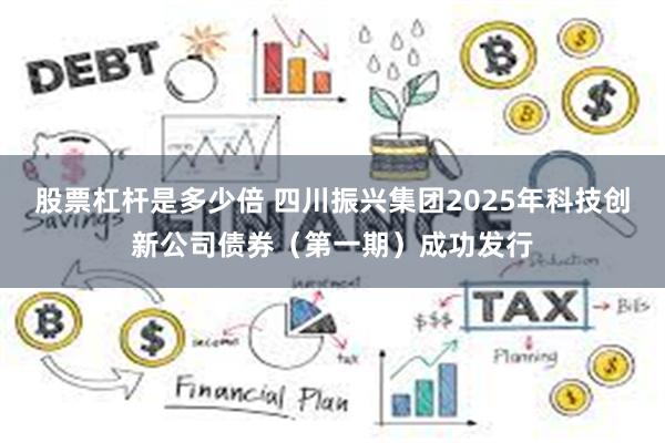 股票杠杆是多少倍 四川振兴集团2025年科技创新公司债券(第一期)成功发行