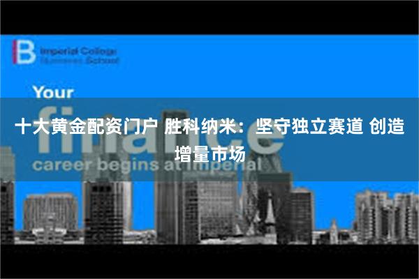 十大黄金配资门户 胜科纳米:坚守独立赛道 创造增量市场
