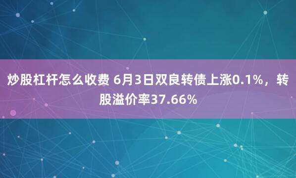 炒股杠杆怎么收费 6月3日双良转债上涨0.1%,转股溢价率37.66%