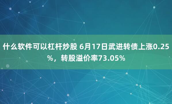 什么软件可以杠杆炒股 6月17日武进转债上涨0.25%,转股溢价率73.05%