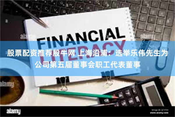股票配资推荐股牛网 上海沿浦：选举乐伟先生为公司第五届董事会职工代表董事
