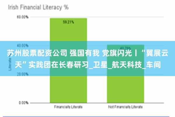 苏州股票配资公司 强国有我 党旗闪光丨“翼展云天”实践团在长春研习_卫星_航天科技_车间
