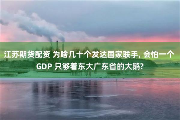 江苏期货配资 为啥几十个发达国家联手, 会怕一个 GDP 只够着东大广东省的大鹅?