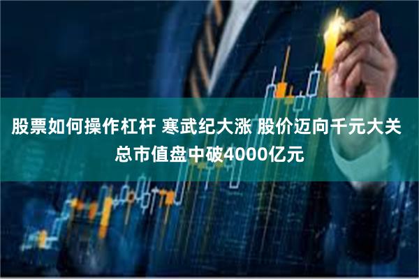 股票如何操作杠杆 寒武纪大涨 股价迈向千元大关 总市值盘中破4000亿元