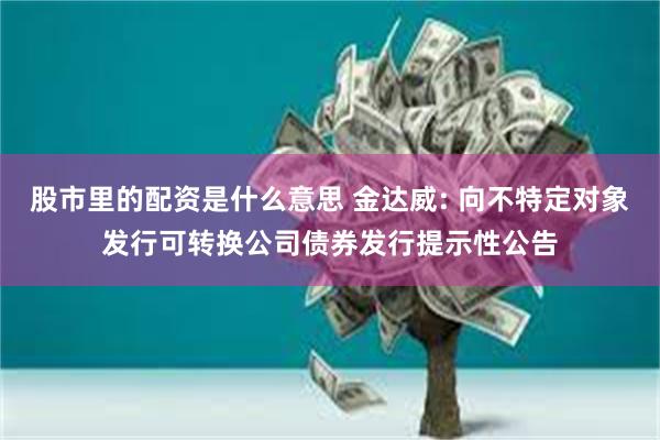 股市里的配资是什么意思 金达威: 向不特定对象发行可转换公司债券发行提示性公告