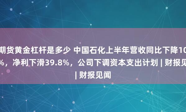 期货黄金杠杆是多少 中国石化上半年营收同比下降10.6%,净利下滑39.8%,公司下调资本支出计划 | 财报见闻