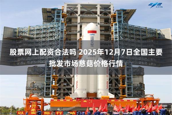 股票网上配资合法吗 2025年12月7日全国主要批发市场慈菇价格行情